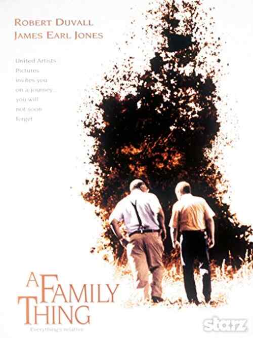A Family Thing poster