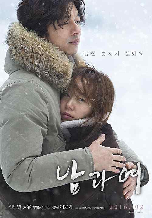 A Man and a Woman poster