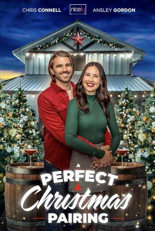 A Perfect Christmas Pairing poster