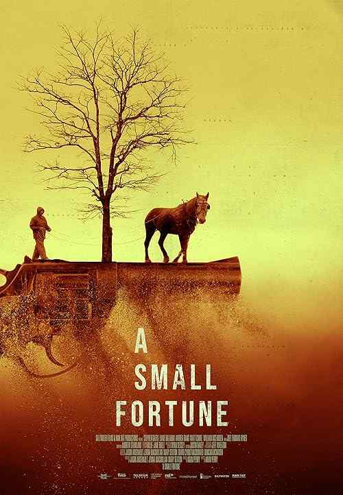 A Small Fortune poster