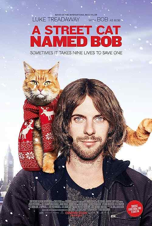 A Street Cat Named Bob poster