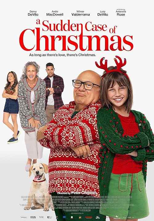 A Sudden Case of Christmas poster