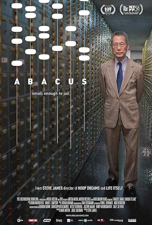 Abacus: Small Enough to Jail poster
