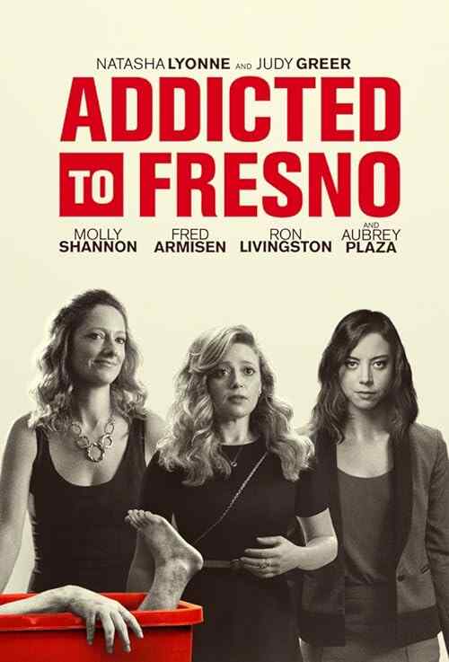 Addicted to Fresno poster