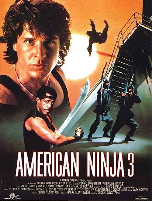 American Ninja 3: Blood Hunt poster