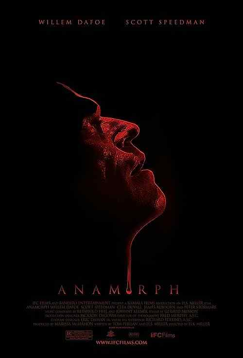 Anamorph poster