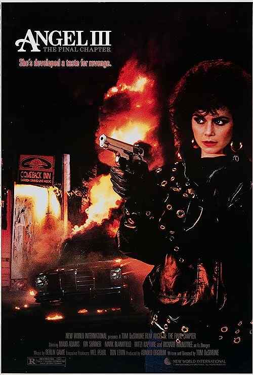 Angel III: The Final Chapter poster