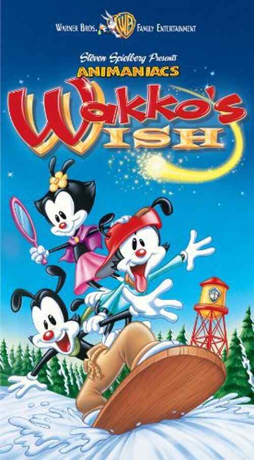 Animaniacs: Wakko's Wish poster