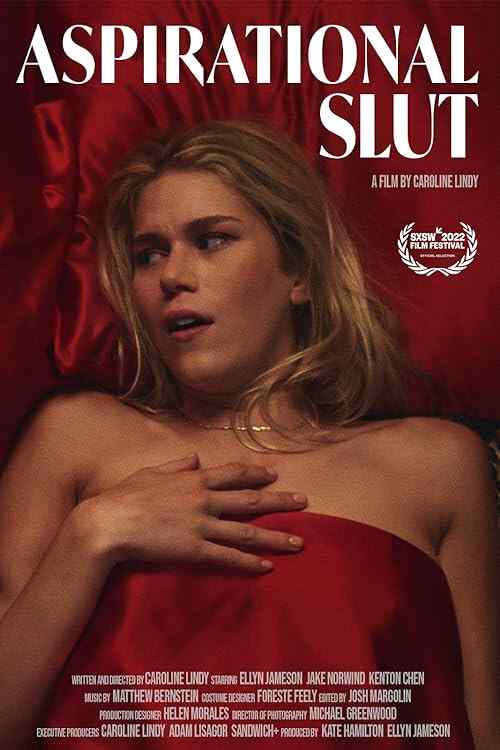 Aspirational Slut poster