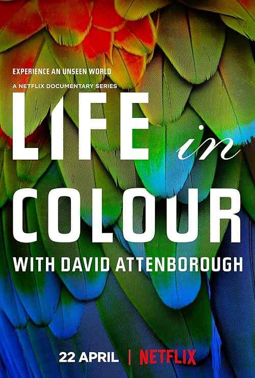 Attenborough's Life in Colour poster