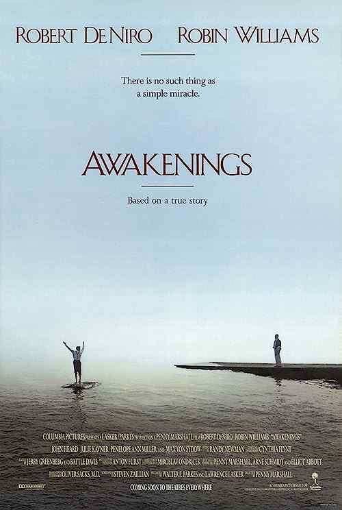Awakenings poster