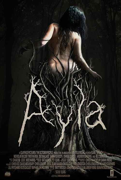 Ayla poster