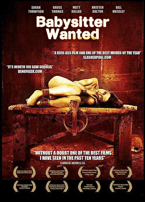 Babysitter Wanted poster