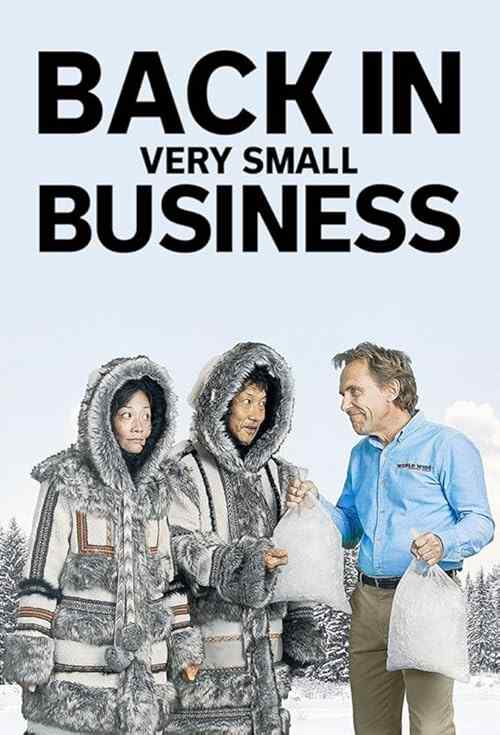 Back in Very Small Business poster