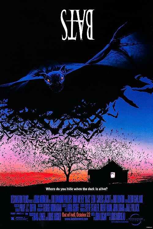 Bats poster