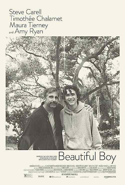 Beautiful Boy poster