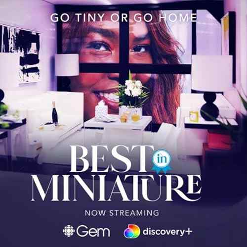 Best In Miniature poster