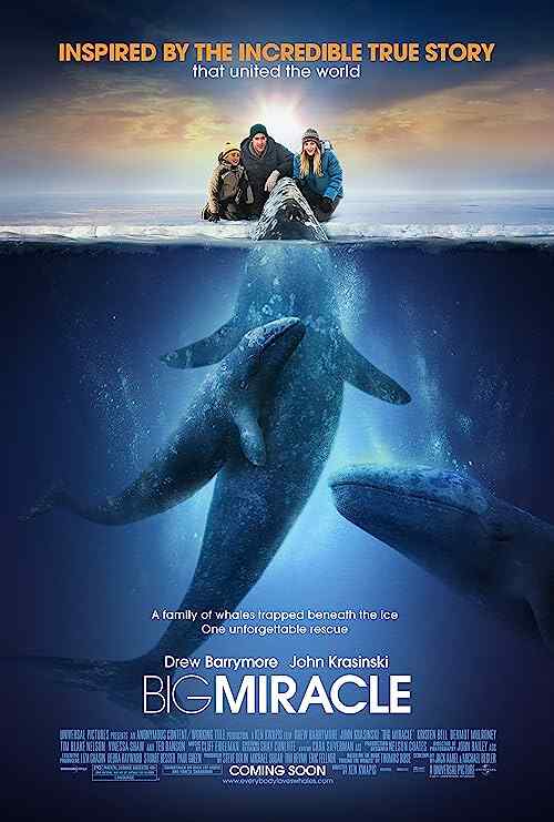Big Miracle poster