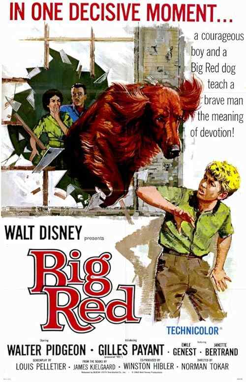 Big Red poster