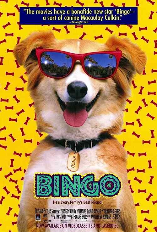 Bingo poster