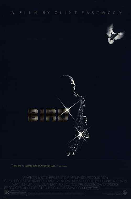 Bird poster