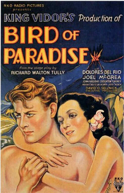 Bird of Paradise poster