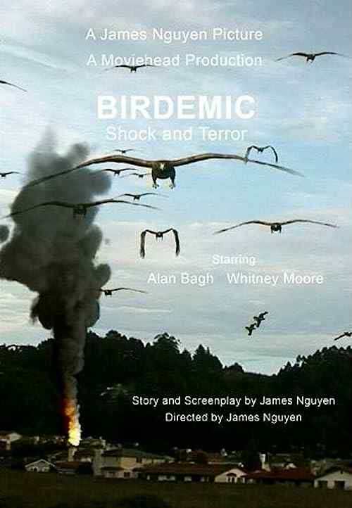 Birdemic: Shock and Terror poster