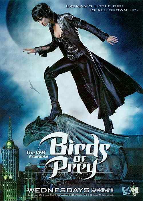 Birds of Prey poster