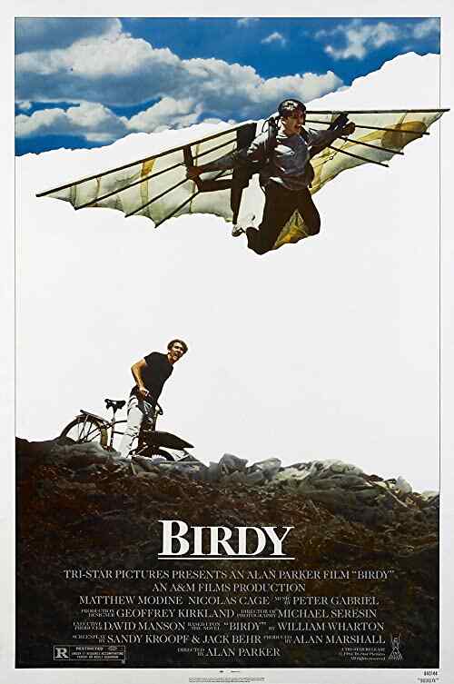 Birdy poster