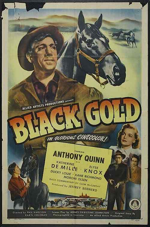 Black Gold poster