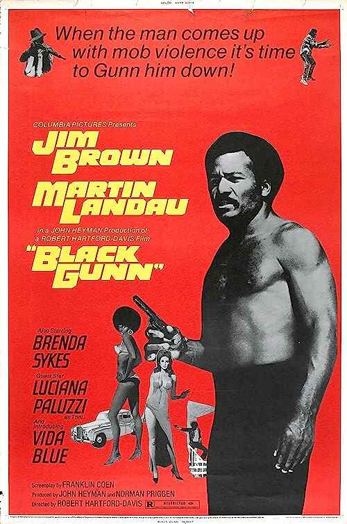 Black Gunn poster