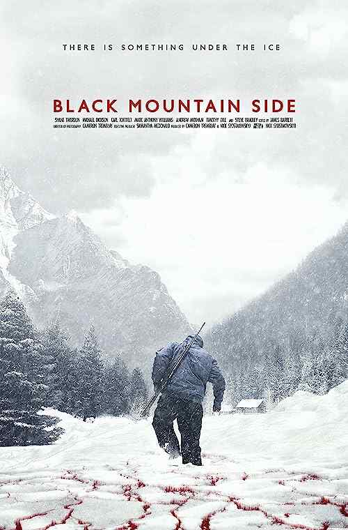 Black Mountain Side poster