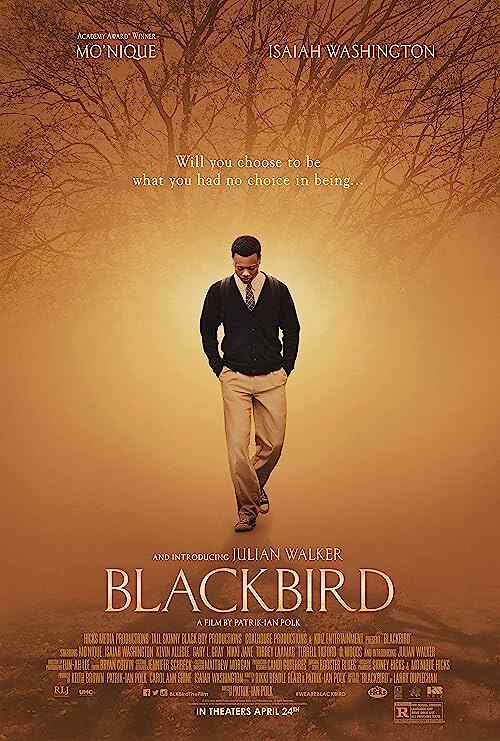 Blackbird poster