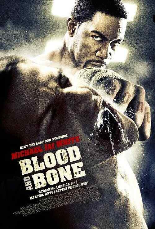 Blood and Bone poster