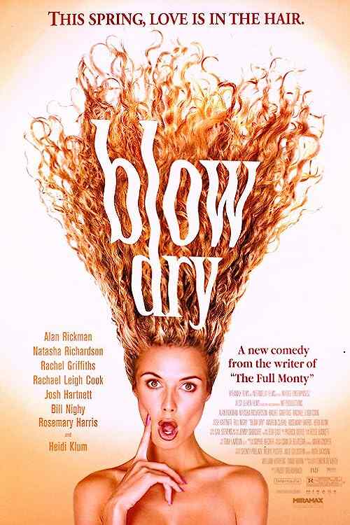 Blow Dry poster
