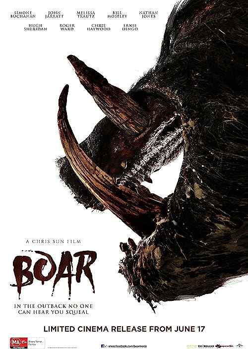 Boar poster