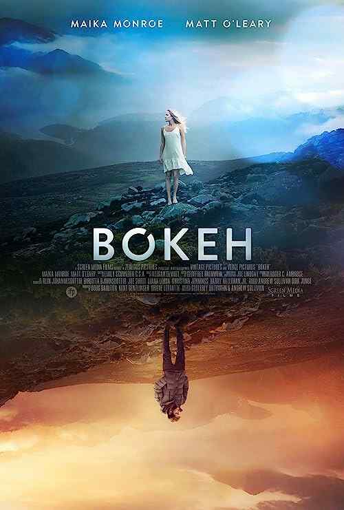 Bokeh poster