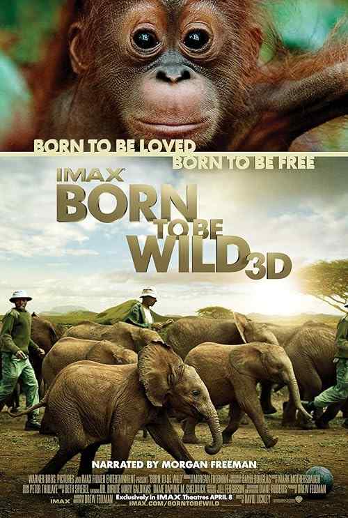 Born to Be Wild poster