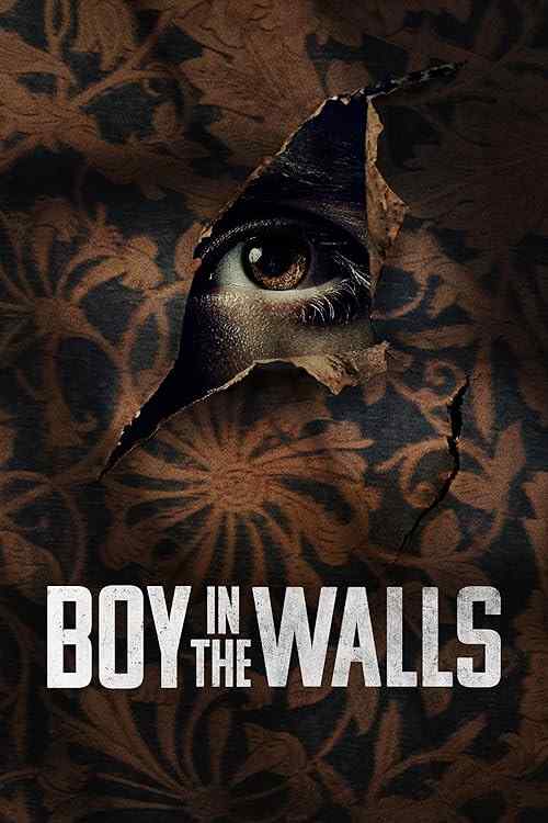 Boy in the Walls poster