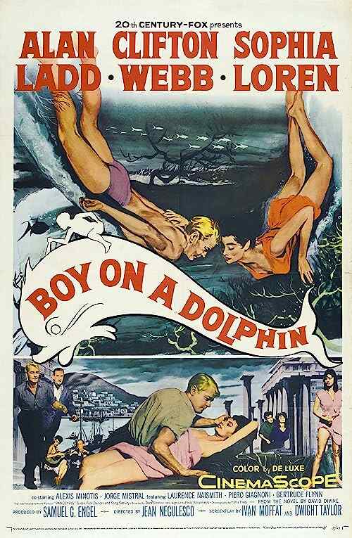 Boy on a Dolphin poster