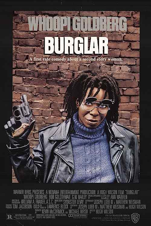 Burglar poster