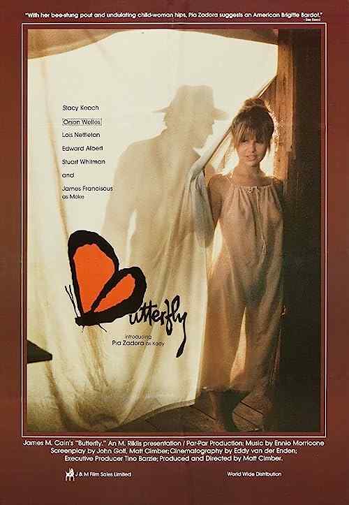 Butterfly poster