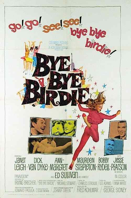 Bye Bye Birdie poster