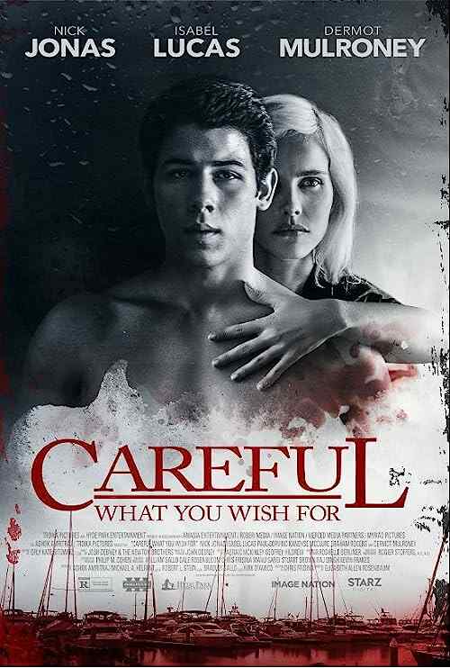 Careful What You Wish For poster