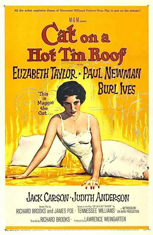Cat on a Hot Tin Roof poster