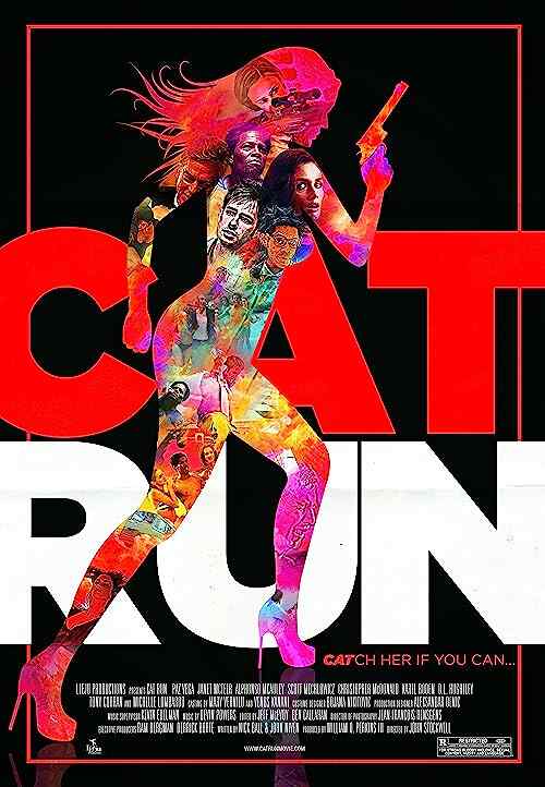 Cat Run poster