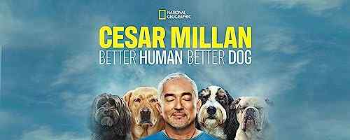 Cesar Millan: Better Human, Better Dog poster