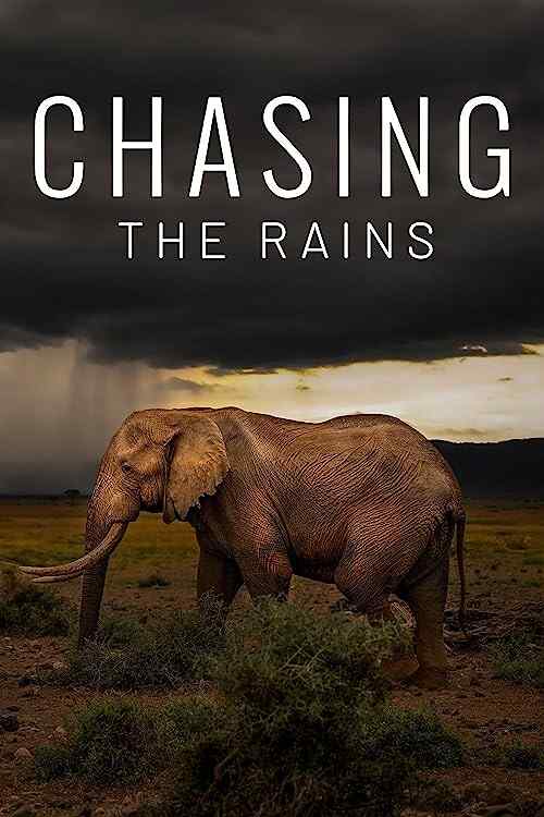 Chasing the Rains poster