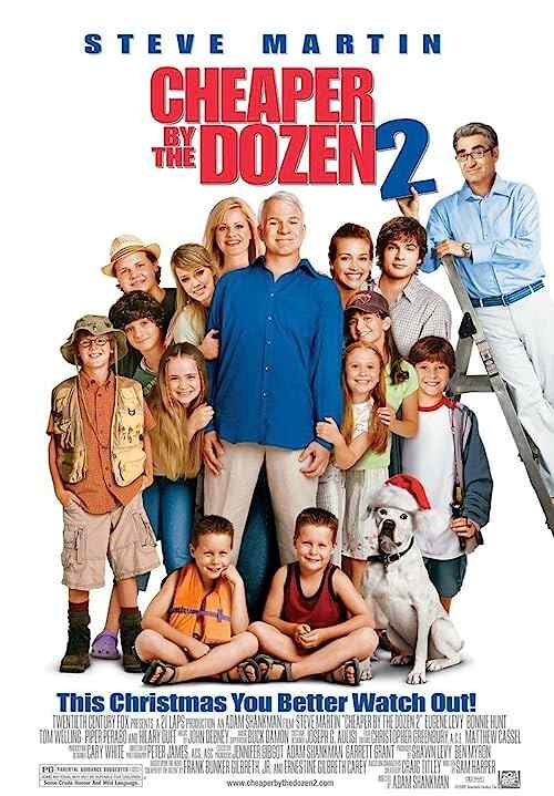 Cheaper by the Dozen 2 poster