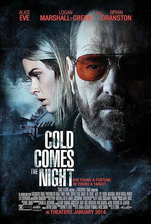 Cold Comes the Night poster